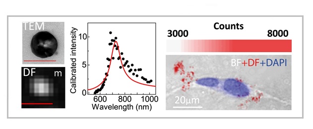 Hyperspectral darkfield microscopy